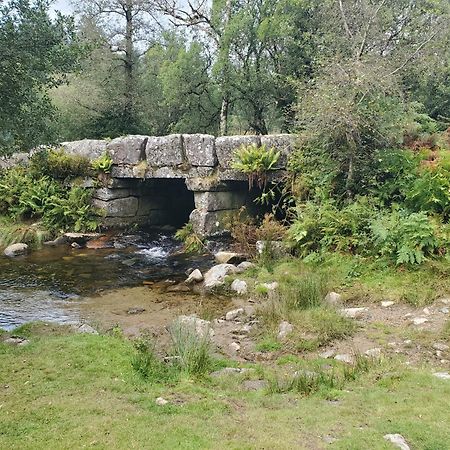 Dartmoor Reach Alpaca Farm Heated Cabins 5 Mins Drive To Dartmoor Bovey Tracey Exterior photo